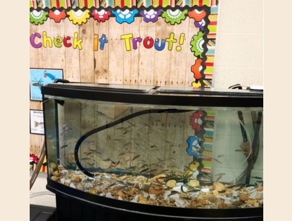 trout_in_the_classroom